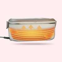 Boîte à déjeuner chauffée électrique, prise ue US, chauffe-aliments pour repas, 220V 110V 1L, voyage, travail en plein air, récipient chauffant pour aliments, ensemble en acier inoxydable 2