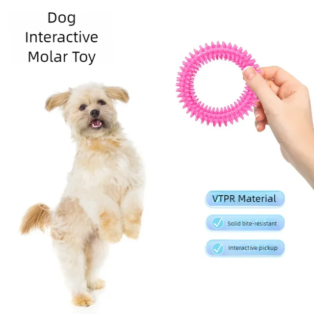 Pet Chew Toy Soft Rubber Bite-resistance Bone Shape Teeth Grinding Chewing Toys for Small Dogs Training Pet Supplies 2