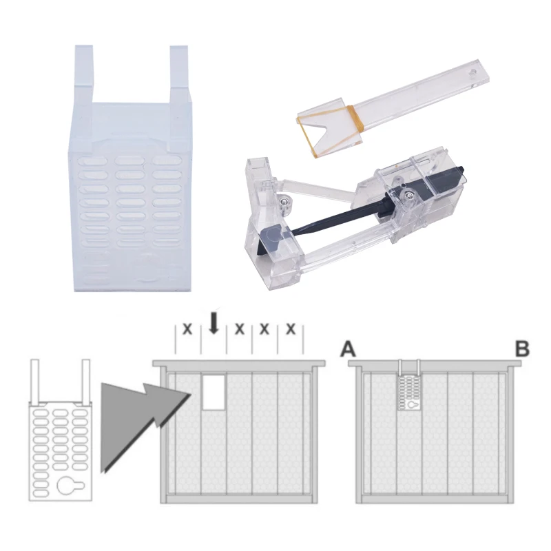 

Full Set The Varroa Block Queen Cage for Fighting Varroa Through Brood Block with Queen Bee Catcher