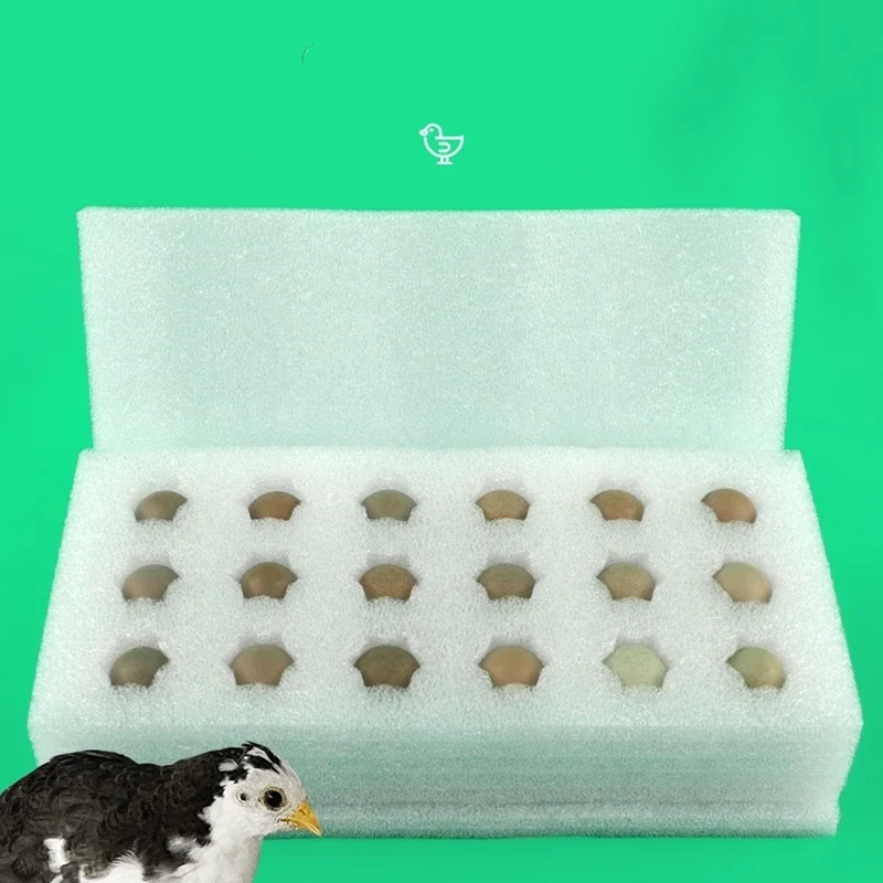 

Жемчужный хлопковый поднос для яиц, упаковка для ушных яиц из пеноматериала, для хранения фруктов, птичьих яиц, экспресс-доставка, Противоударная защита от падения