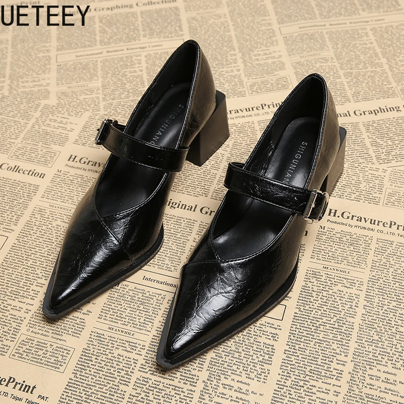Designer Vintage Pointed Toe Women Mary Jane Shoes Fashion Shallow Buckle Shoes Spring Ladies Elegant Dress Thick Heel Shoes 4
