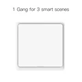1 Gang Scene Switch