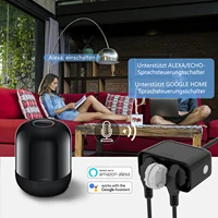 Eu WIFI smart outdoor power socket, waterproof IP44, Doodle Smartlife, remote control, timing support, Alexa Google Assistant - Image 3