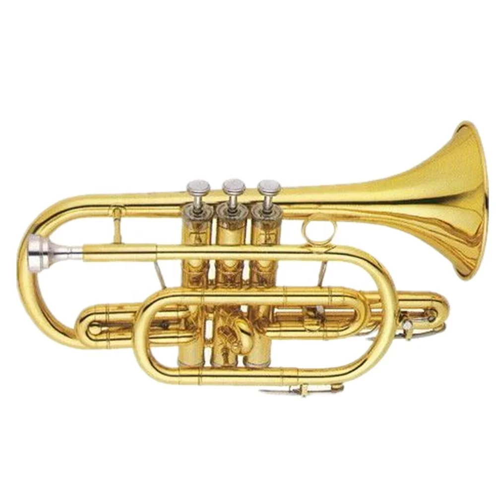 Gold lacquer Standard model Tone Bb Cornet