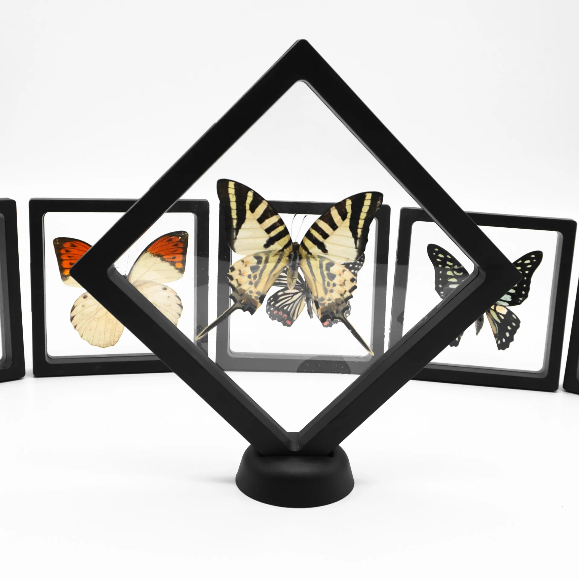 2pcs Real Rare Specimen Photo Frame Butterfly Decoration Wall Decoration Nursery Display Frame Special Creative Gifts