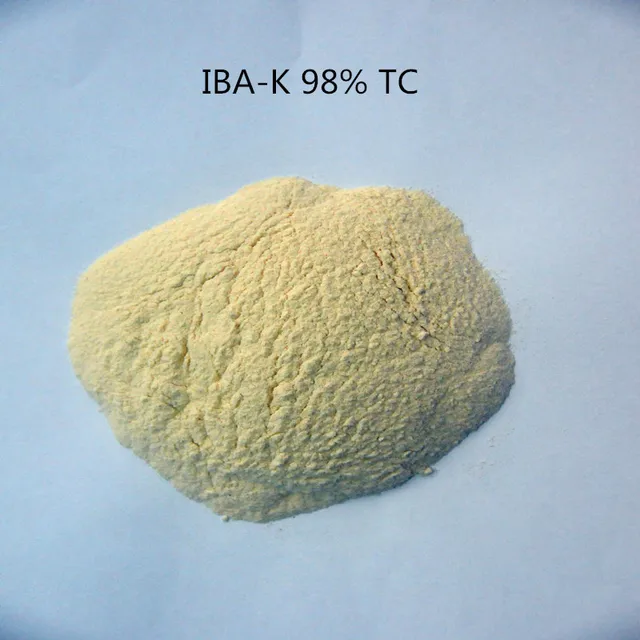 1 Kg Indol-3-Butiksav-Kálium Iba-K Víz Oldódó 3-Indolebutisav-Kálium 98% Iba Só/Iba Auxin Alacsony Pricinnel - Image 6