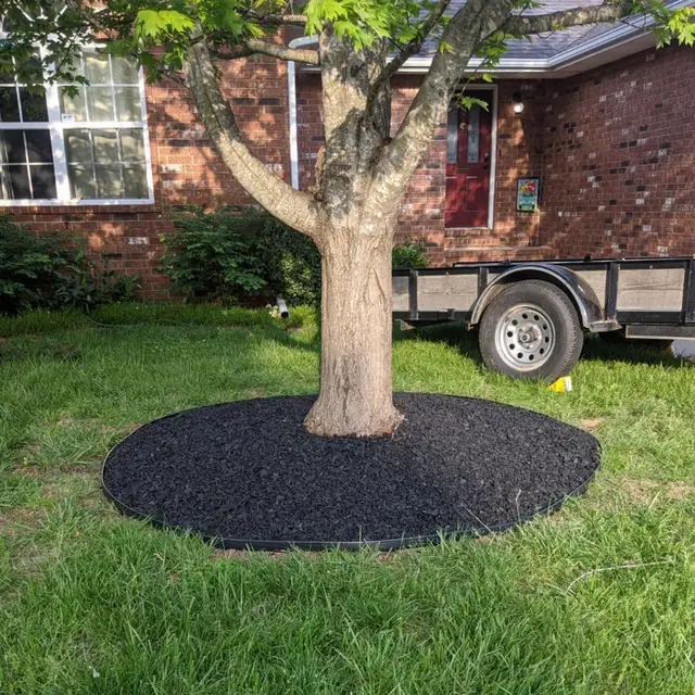 Kőfű -Gát Hosszú 5Cmx10M Táj Udvari Virágágy Szegély Kerítés Kertészeti Kellékek