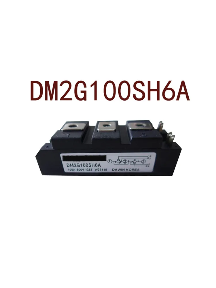 

DM2G100SH6A