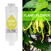 Ylang Flower