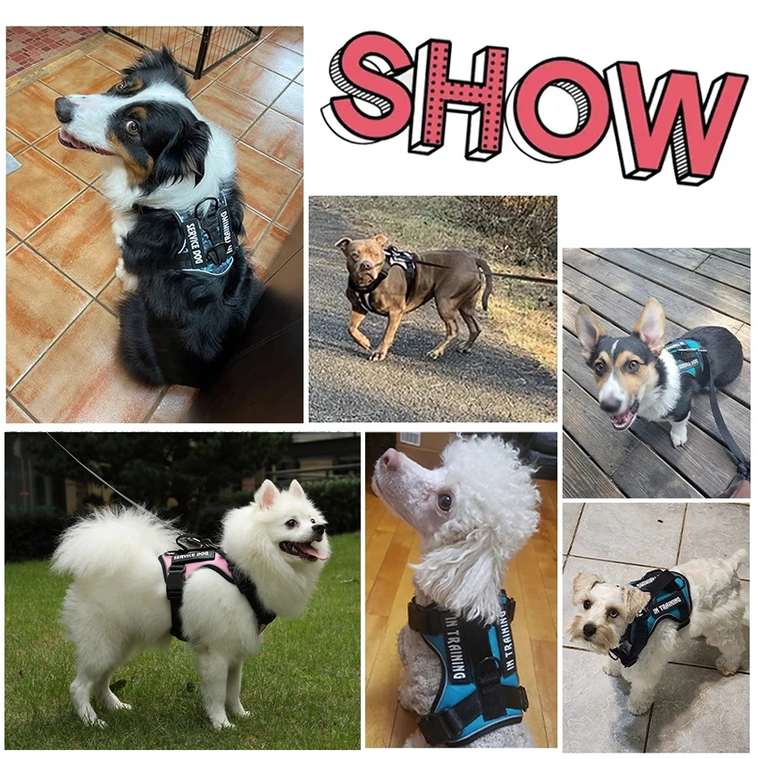 Pet Harness Dog Harness Pet Chest Harness Safety Harness Dog Harness No pull Reflective Tactical Harness Vest for Pet Dogs