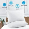 Tex Stead Goose Down Pillow 100% Cotton Set Bed Pillow, Luxury Hotel White Pillow Core, Comfortable and Warm 2-Piece Set 3