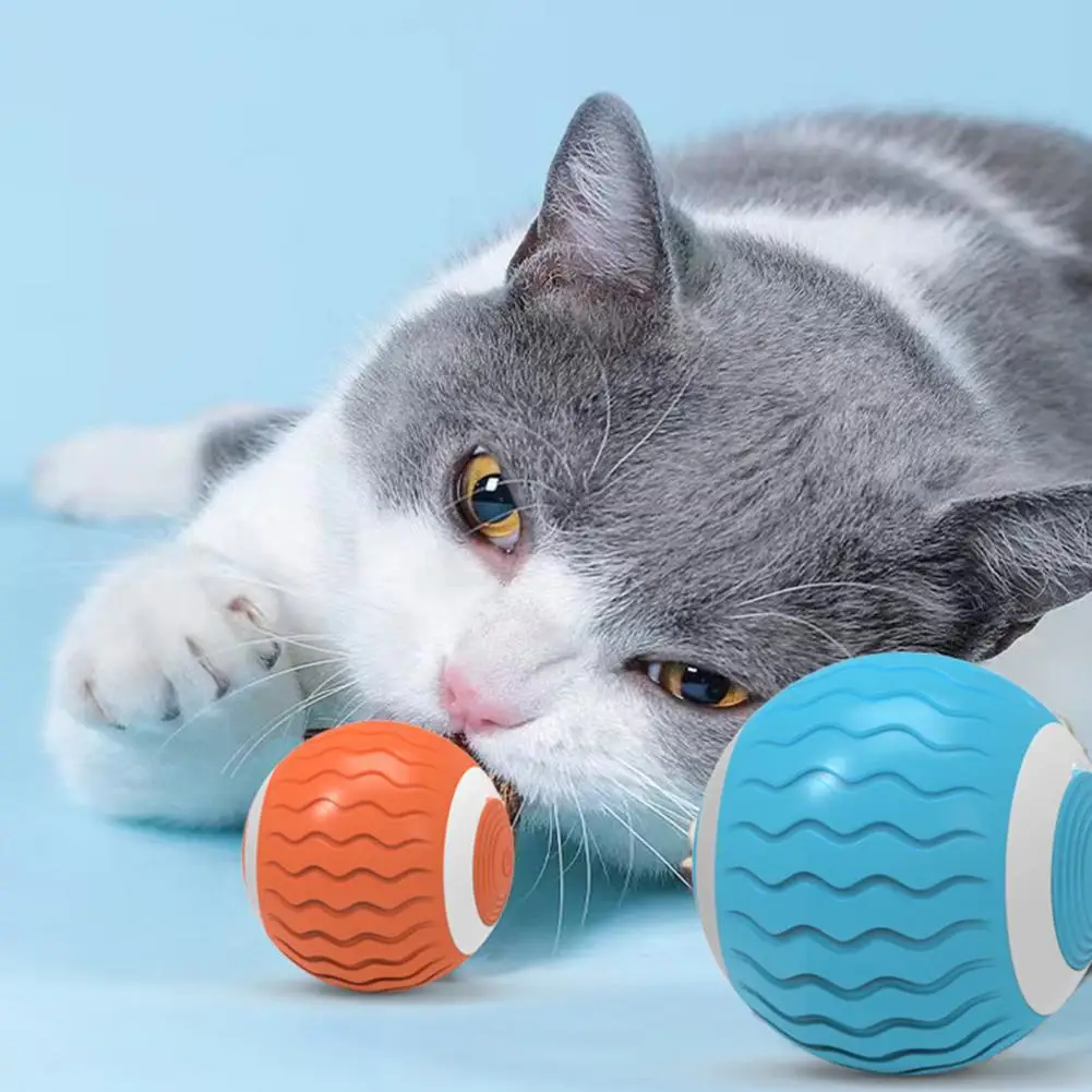 1 Set Cat Toy Funny Electric Prey Simulation Cat Teaser Toy Soft Rolling Ball Automatic Kitten Training Toys Forniture Per Animali Domestici