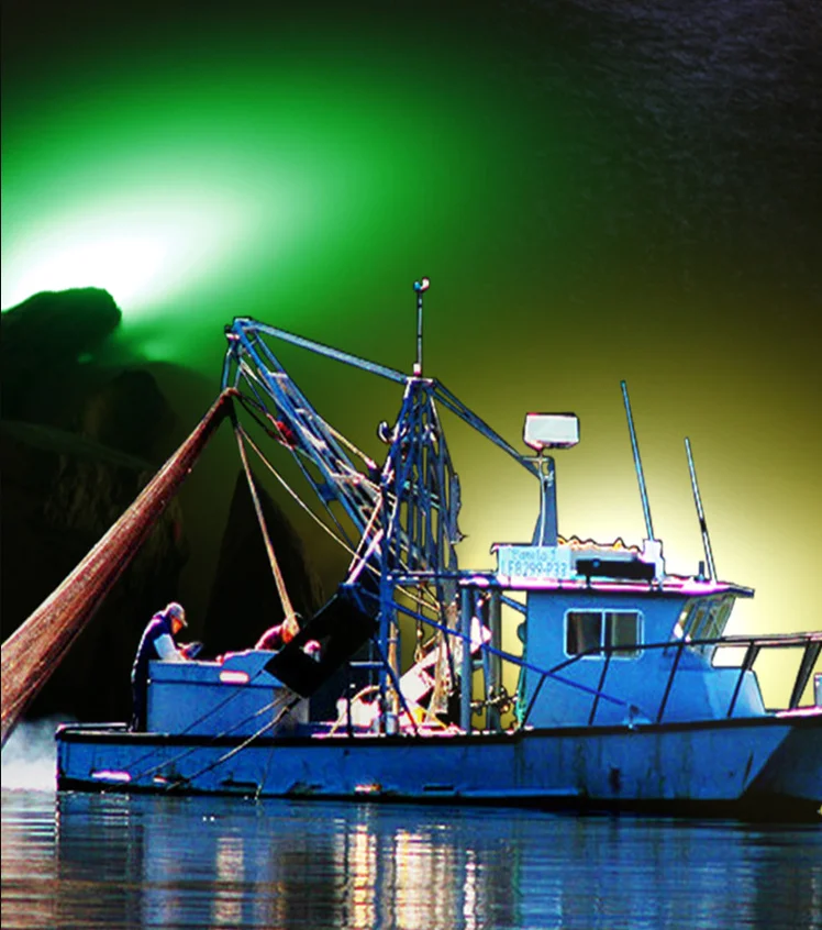 800W Underwater Fishing Light LED Green Light Fishing Boat Port