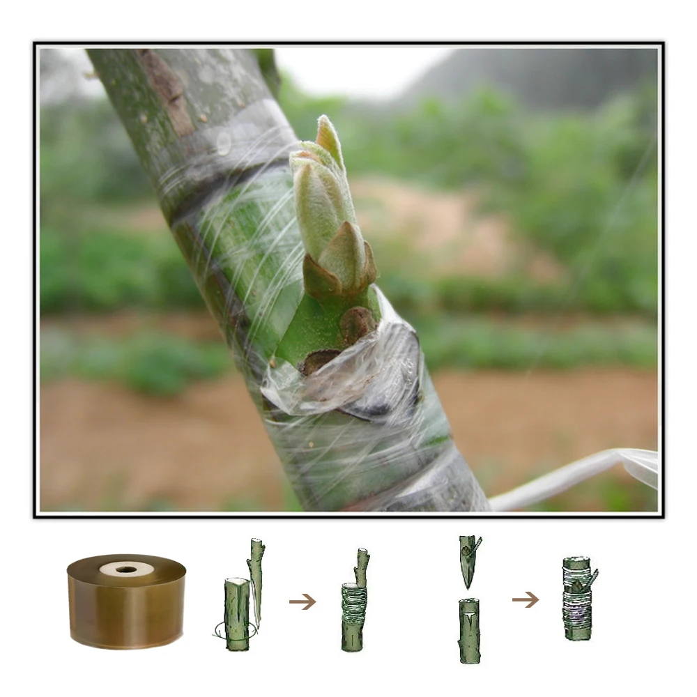 Grafting Tape PE Self-adhesive Stretchable Clear Repair Film for Tree Plant Seedlings Vine Tomato Planting