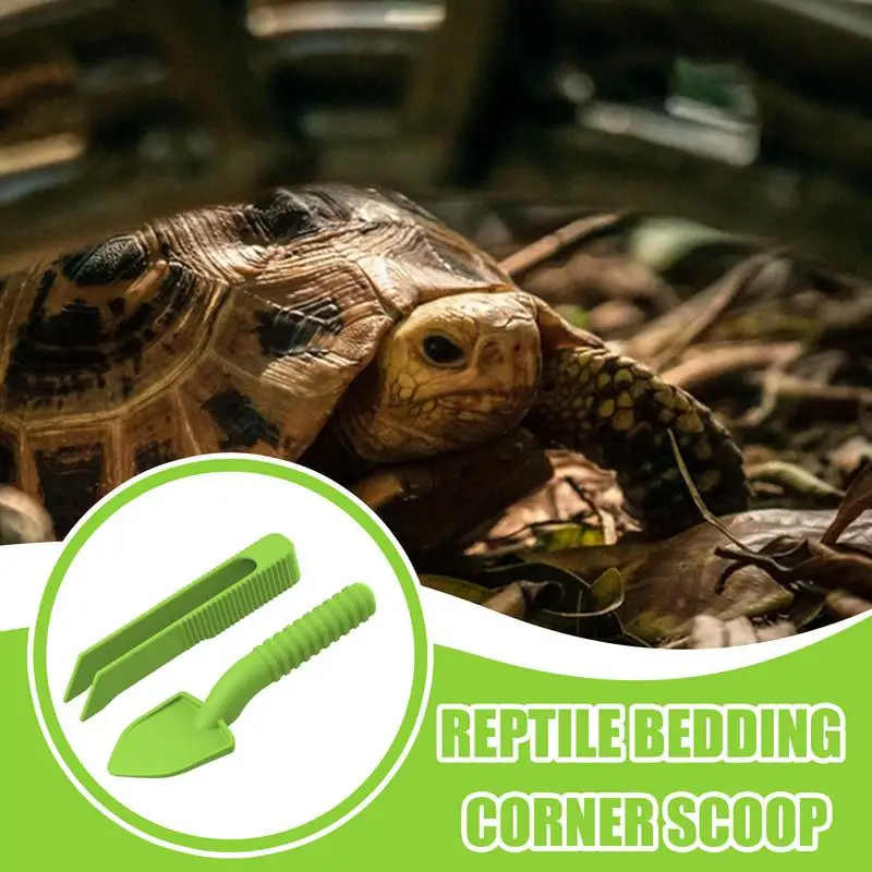 Reptile Tweezers Feeding Reptile Scoop Lizard Feeder Feeding Kit For Pet Box Cleaning Bedding Corner Scoop For Tortoises