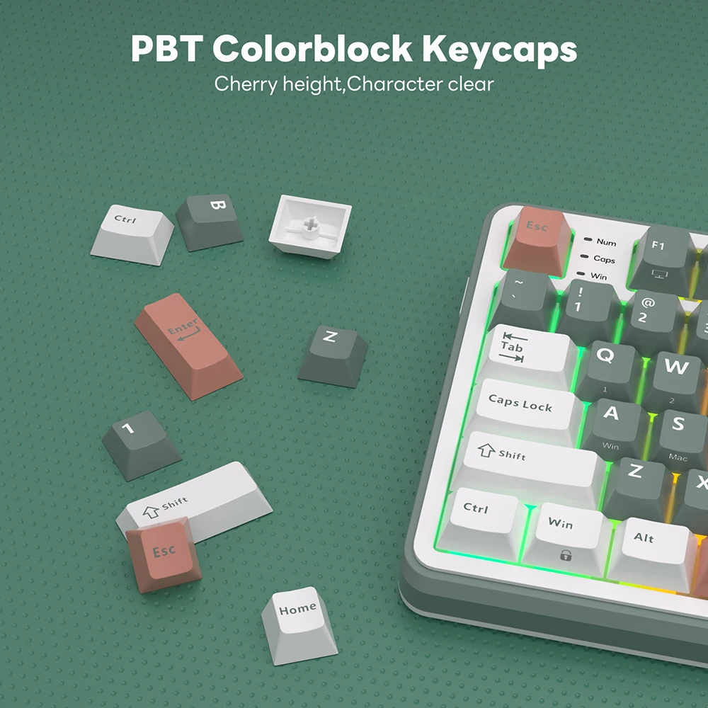 Rk s98およびROKludgeメカニカルキーボードノブ,96% rgb,バック