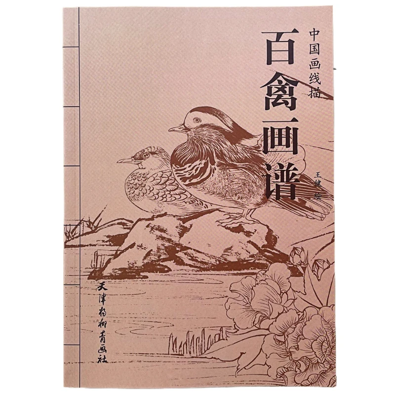 Chinese Line Drawing Manuscript Book Meticulous Painting Line Draft Set Bird Fruit Vegetable Martial Art Character Picture Album