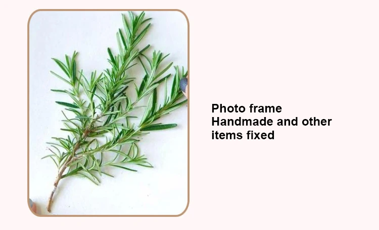 Slide image d349646e7efd4a28bd9154a5b1323297