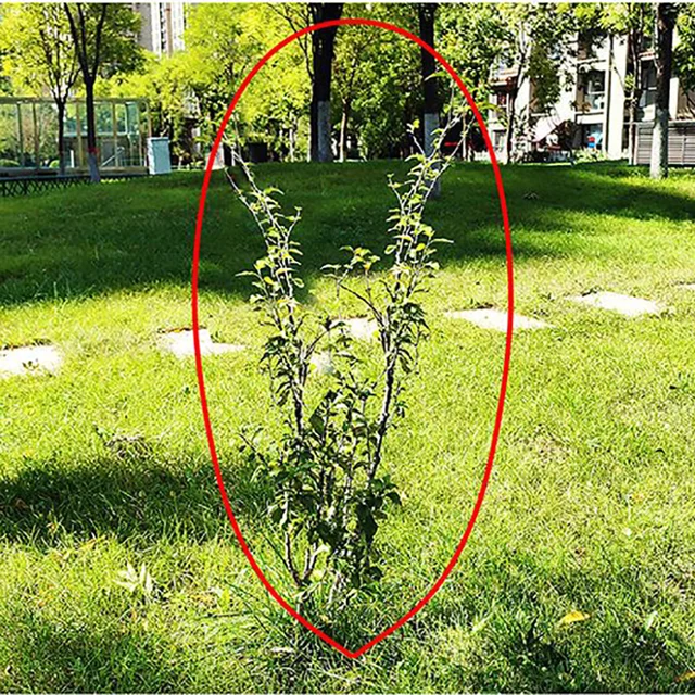 Új Zöld Meleg Növényi Burkolat Fa Cserje Fagyos Téli Védelmi Táska Dzseki Udvar Kerti Fagy Takaró Növény - Image 5