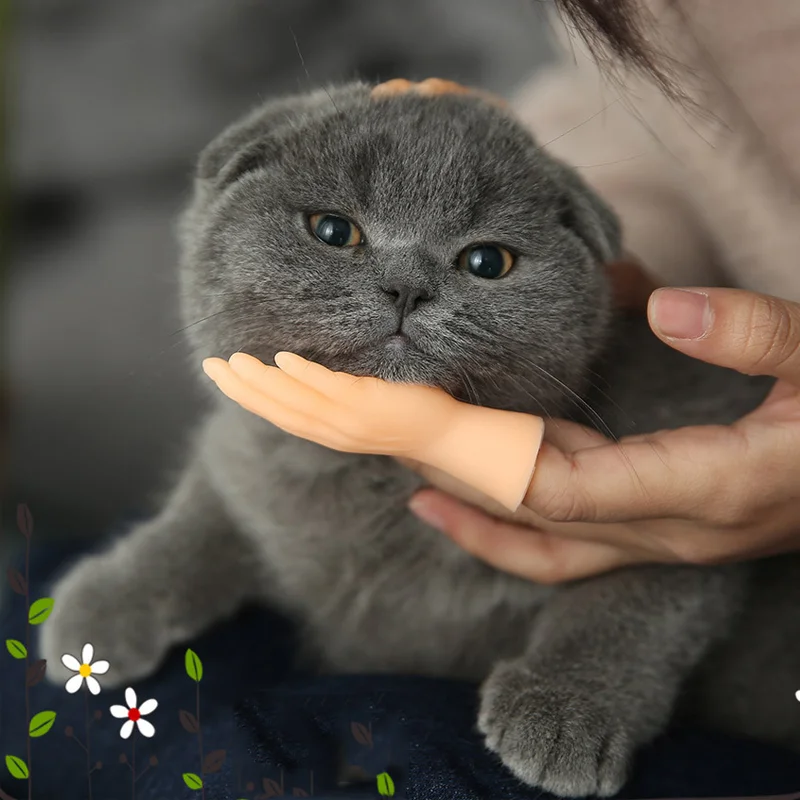Cartoon Fun Creative Funny Mini Finger Puppet Set Soft Little Hands Five Finger Model Gestures Tease Cat Pet Toys Halloween Gift finger puppets
