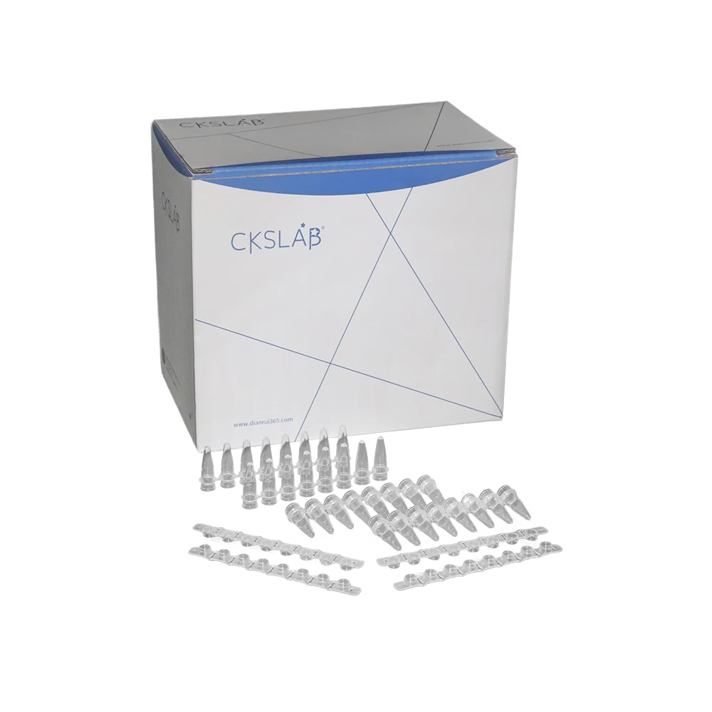 0.2ml Pcr 8 Strips Tube Lab Fluorescence Quantitative PCR Tube Strip 125pcs PP Centrifuge With Cover Medical Supplies