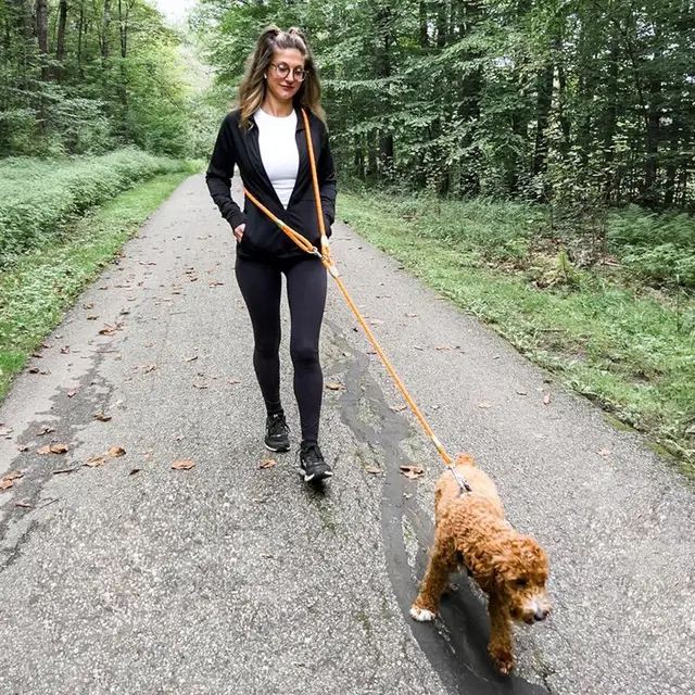 Adjustable Hands-Free Dog Leash, Suitable for Hiking, Walking, Running - Reflective, Comfortable Elastic Leash, Available in Various Colors (Orange, Pink, Black, Blue, Purple) - Durable Polyester Fiber, Machine Washable, Hiking Accessories 4
