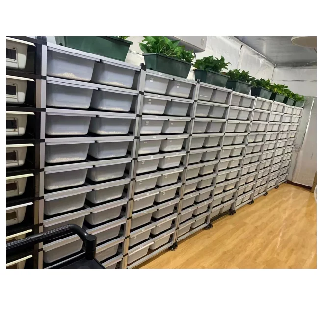 プラスチックスネークreptile iningbox、スネークスキニングタブ用