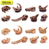 Dinosaur Toy Simulation Animal Skull Plastic Fossil Teaching Dinosaurs Skeleton Model for Collectors Craft Gifts Home Decor Toys 1