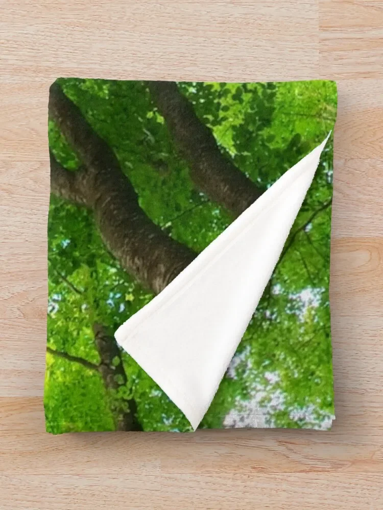 ��� �� ���� �ձ� �Ƹ��ٿ� ������ ������ ���, �̱� ħ�� ����, ���� �ε巯�� ��Ƽ�� ���