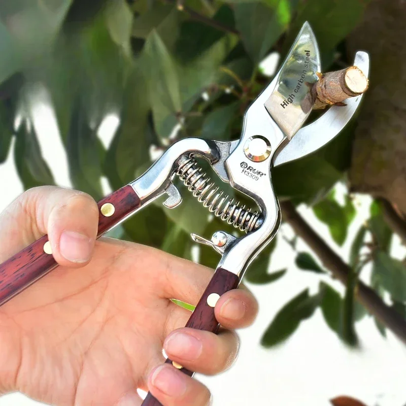 Professional Garden Maintenance