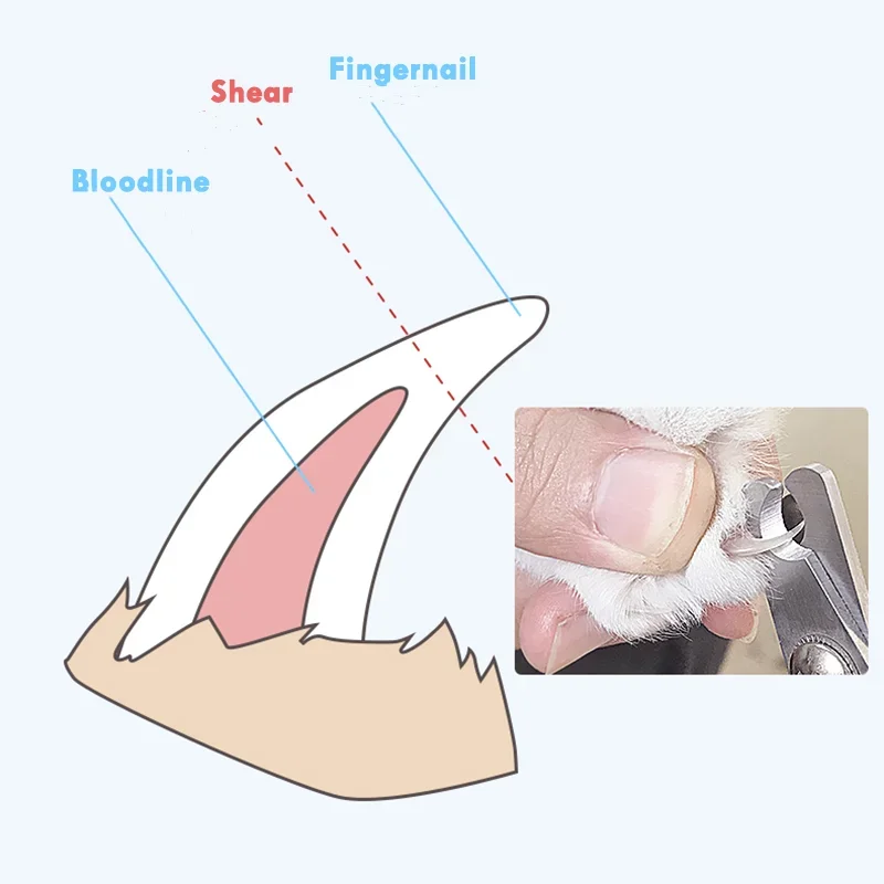 Pet Cat Dog Nail Clipper Cutter Stainless Steel Grooming Scissors Clippers Claw Nail Scissors with Lock Pet Supplies