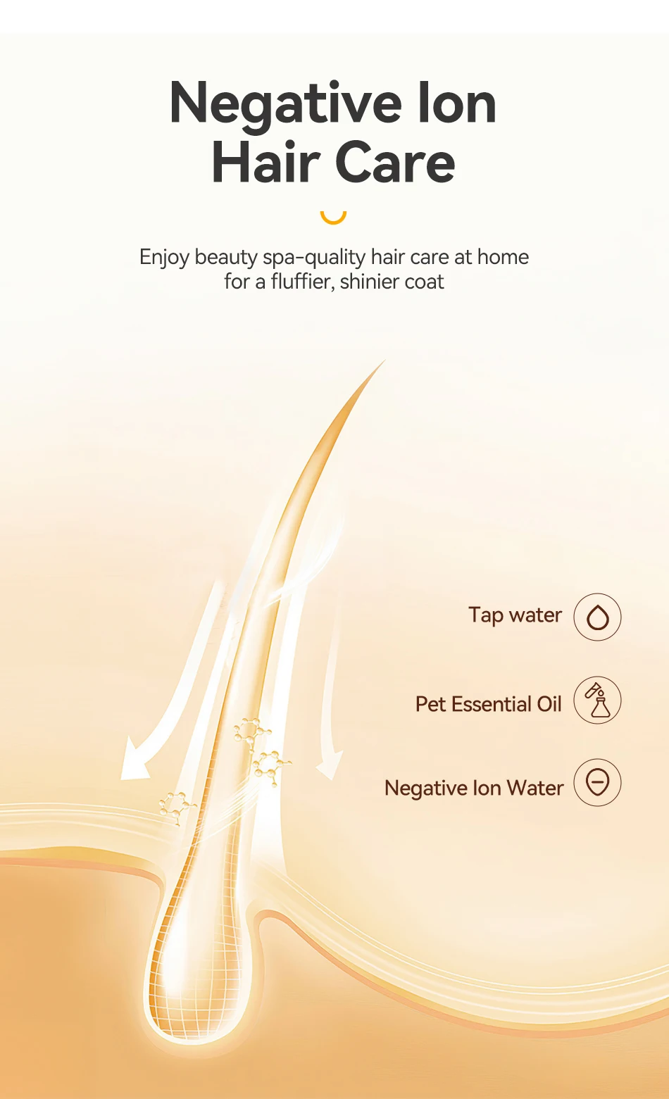 Pet Steam Comb Cat Hair Brush Electric Sprayer Cat Dog Brushes for Massage - PeticaDeals