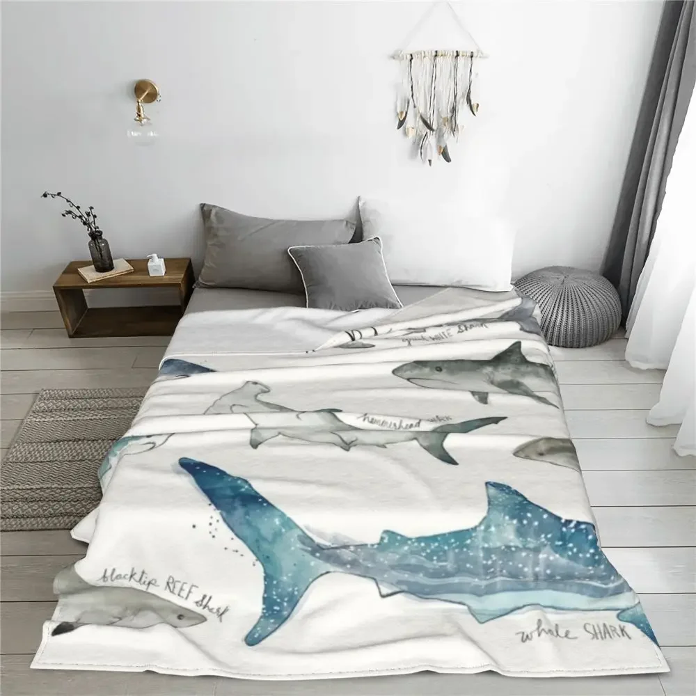 �ſ� �ε巯�� ķ�� ��� ǳ�� ������ ���, �ٴ� �ڿ� ����, ������ �ö��� ħ�뺸, ���� ����, ���� ħ�� Ŀ��