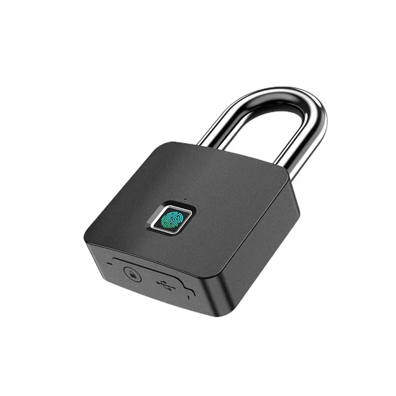 Smart Graffiti Bluetooth Fingerprint Lock Outdoor Warehouse Yard Large Lock With Key Remote Authorization Unlocking Electronic