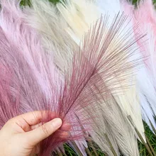 

1Pcs Pampas Grass Flowers Pantas Artificiales Para Decoracion Fake Plants Holiday Home Party Wedding Decoration Simulation Reed