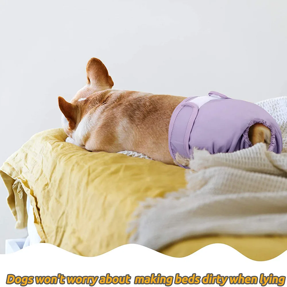 Dog Diapers Shorts for Puppy Large Dog Female Adjustable Reusable