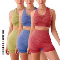 Yoga Set Gym Shorts Women Sport Bras Brassiere Workout Tops for Women Yoga Clothes Fitness Leggings Gym Set Seamless Yoga Sets 2
