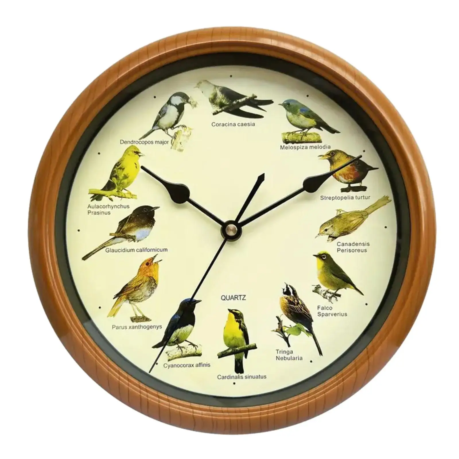 Singing Bird Wall Clock Silent that Sings on Hour Round Decorative Wall Clock for Kitchen Living Room Office Home Decoration