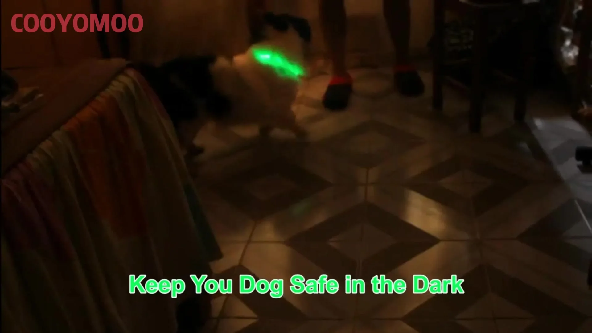 Collier Lumineux LED Rechargeable - Haute Visibilité pour Chien - 2026 - Doglovedesign : Vêtement et accessoires pour chiens