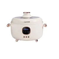 Korean three-grid inner tank electric pressure cooker household rice cooker double-grid multi-functional electric hot pot Yuanya 1