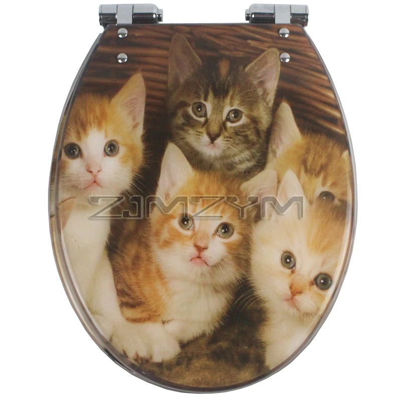Five kittens