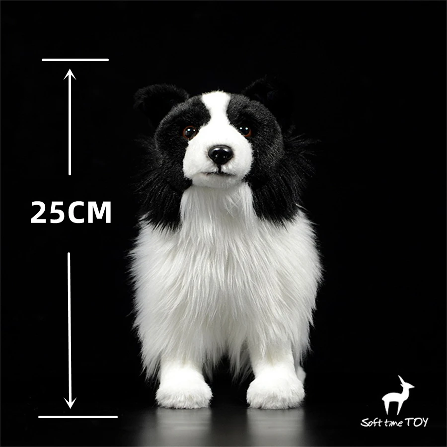 Sa56d1de7a59e45fc9e7b5cfe35d67b8eY - Border Collie Gifts