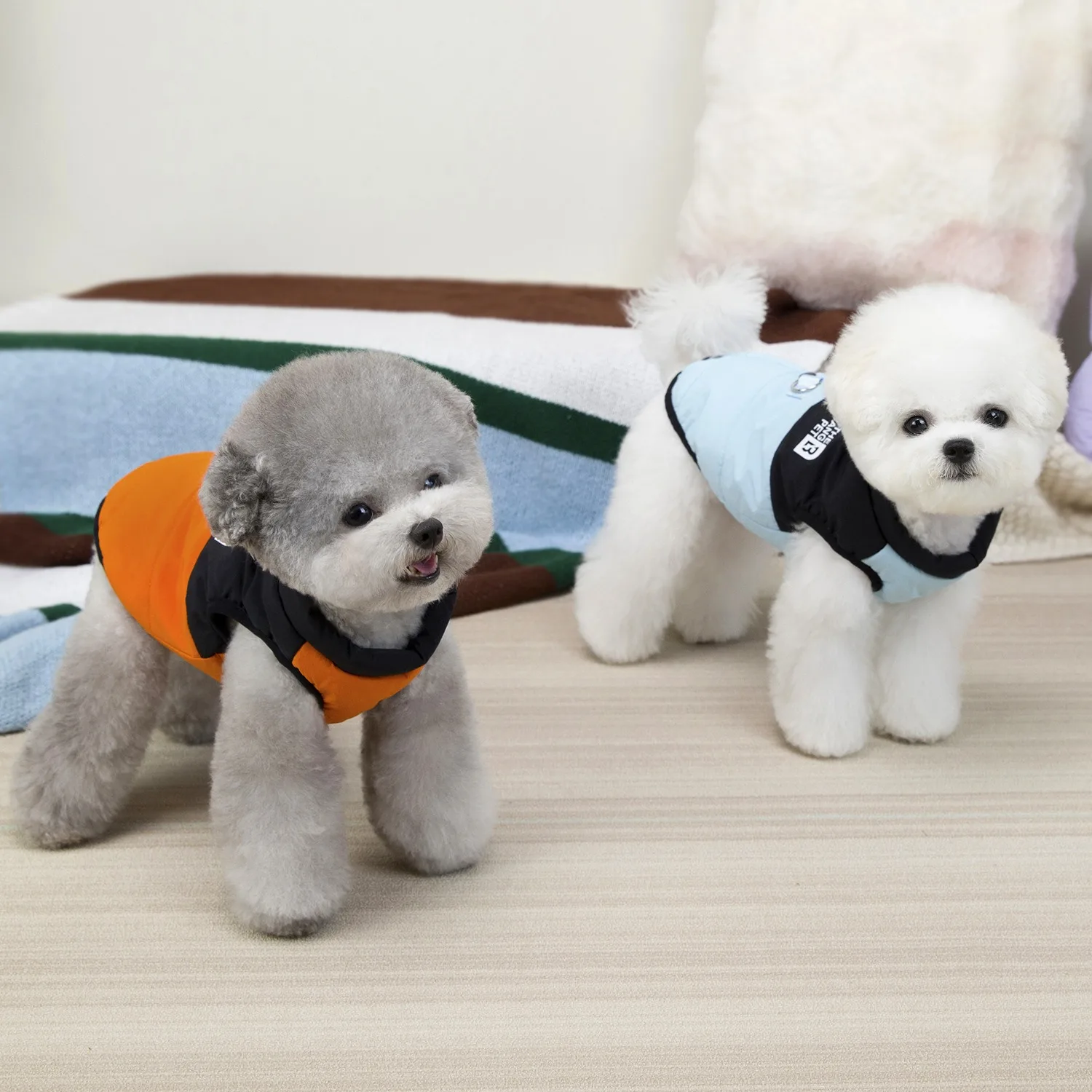 작은 강아지 겨울 코트 레터 프린트 강아지 옷 말티즈 따뜻한 다운 재킷 편안한 민소매 강아지 재킷
