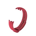 43 Rose Red