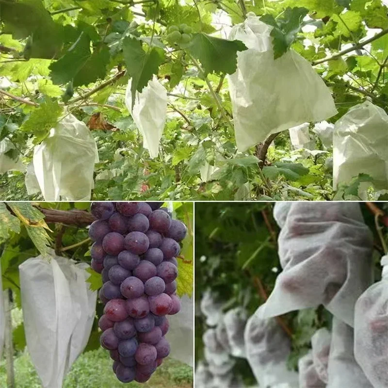 Fruit Protection Bags Non Woven Fabric Grow Bags