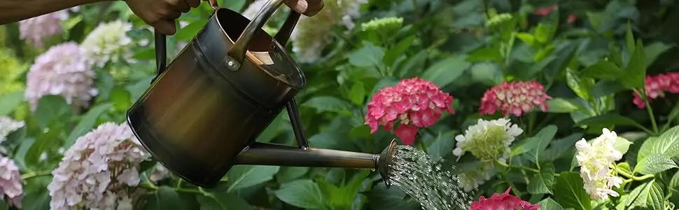 watering can outdoor