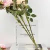 Water Planting Plants Vase Acrylic Book Vase for Water Planting Flowers Aesthetic Home Office Decoration Gift for Book Lovers 5