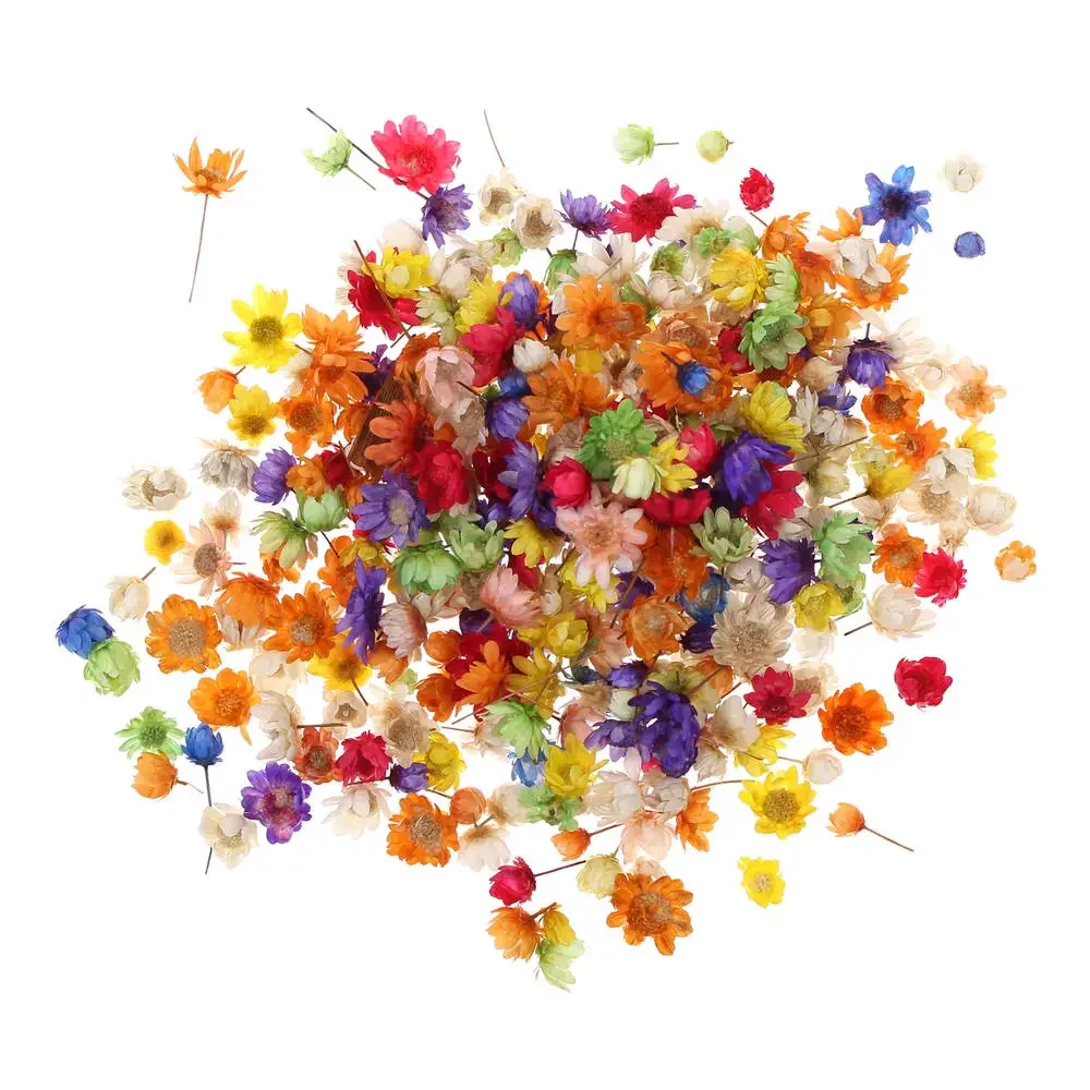 

200pc Real Dried Flowers For DIY Art Craft Epoxy Resin Candle Making Jewellery Home Party Decorative Dry Press Flowers