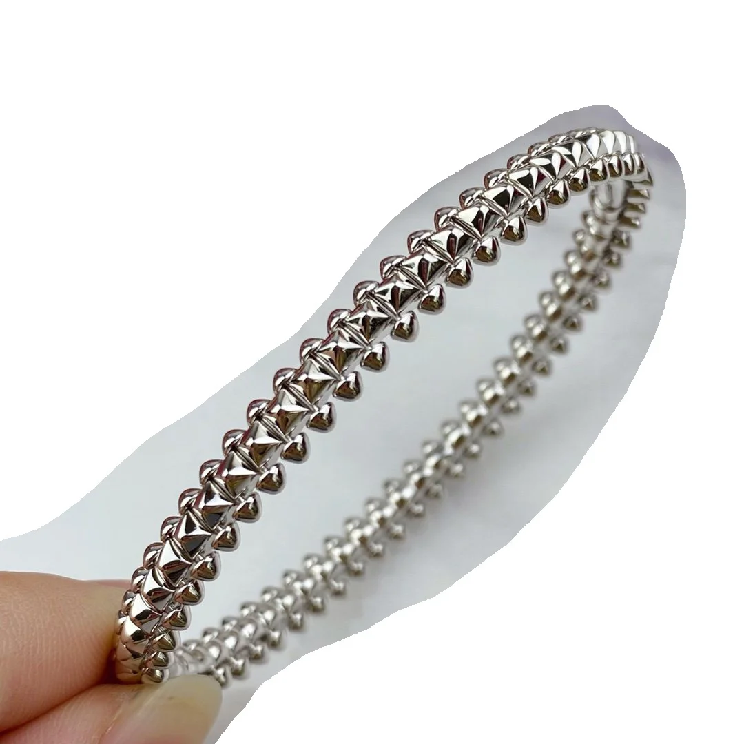 2022 Hot Trend Brand Snake Bone Bracelet Gold Rose Gold SilverEveryday Wear, Party, Birthday