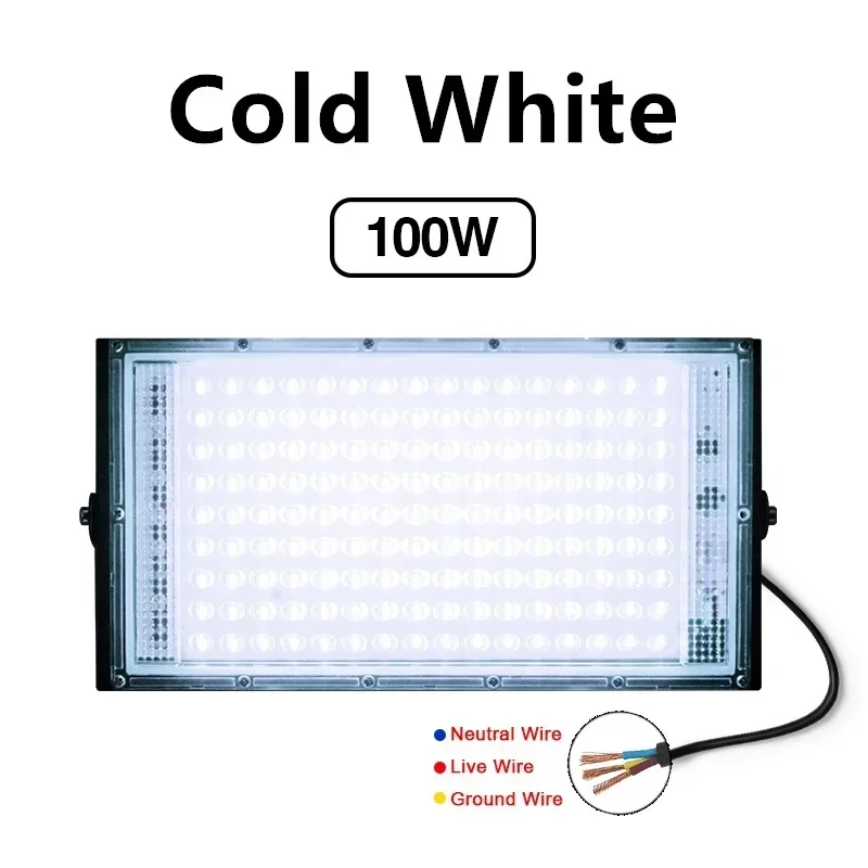 100W No Plug CW